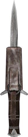 File:20251118162755!EN-Weapon-Iron Dagger 3.png