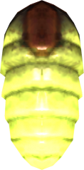 File:118px-EN-Ingredient-Firefly.png