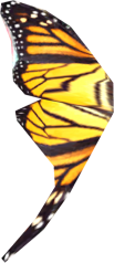 File:103px-EN-Ingredient-Yellow Butterfly Wing.png