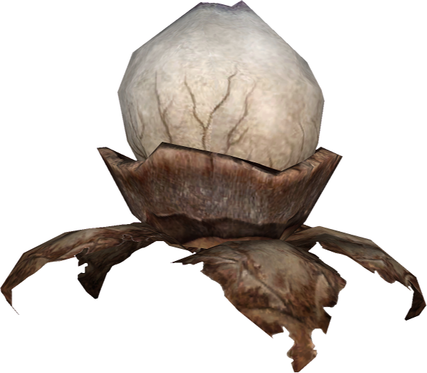 File:20251118162840!EN-Ingredient-Mud Morel.png