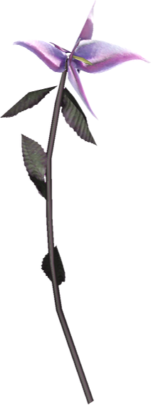 File:20251118162738!EN-Ingredient-Nightshade 01.png