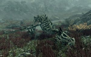 20251118162745!EN-Places-Dragon Aerie4.jpg