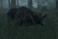 EN-Creature-Black Bear.png