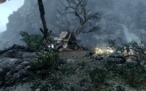 Wild Mages' Camp in Dark Valley