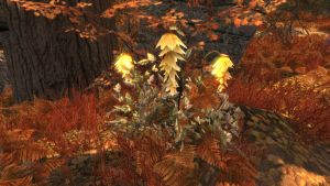 1200px-EN-Quest-Trails in the Sand 5.jpg