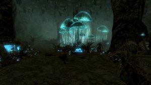 EN-Places-Waterhaze Maw5.jpg
