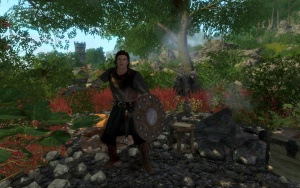 EN-Places-Teldor's Camp3.jpg