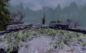 EN-Places-Whisperwood Ruined Towers5.jpg