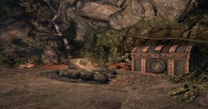 20251118163933!Mossy Mud Campsite.JPG