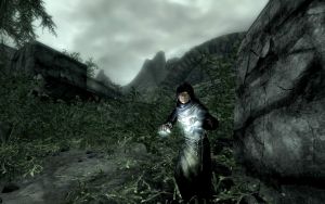 1200px-EN-NPCs-Entropy Mage.jpg