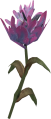 EN-Ingredient-Purple Malphas Flower.png