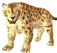 EN-CREATURE-Leopard.png