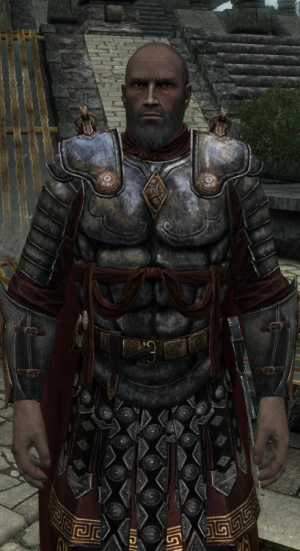 20170607212011!EN-NPC-Grandmaster Tealor Arantheal.png