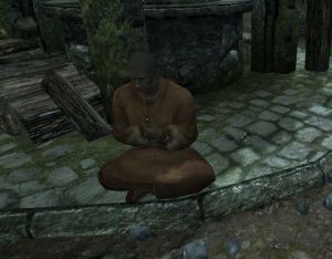 20251118162745!EN-NPC-Merrol Booksnopper.jpg