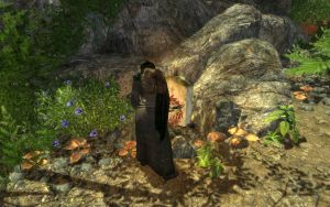 1200px-EN-places-Last Journey's Stone3.jpg