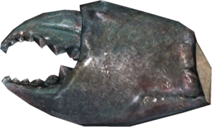 20251118162735!EN-Ingredient-Crab Shell.png