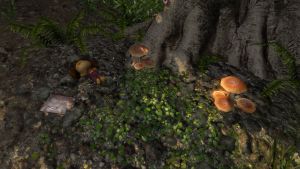 20251118162820!EN-quest-a nice day in summer 6.jpg