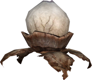 20251118162840!EN-Ingredient-Mud Morel.png