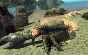 EN-creatures-Imposing Crab King.jpg