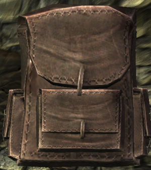 20251118162739!EN-Items-Vagabond Sac.png