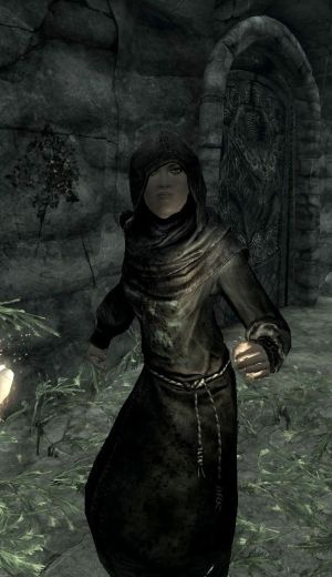 EN-NPCs-Wild Witch.jpg