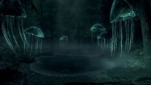 20251118162745!EN-Places-Mana Pond1.jpg