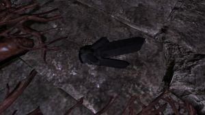 20251118162740!EN-Object-Black Stone 02.jpg