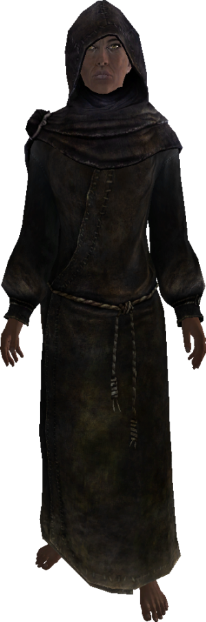 20251118163930!EN-NPC-The Veiled Woman 3.png