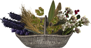 20251118162738!EN-Placeable-Flower Basket (Mixed).png