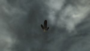 20251118162740!EN-Object-Black Stone.jpg