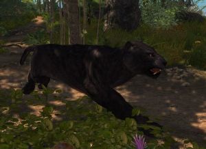 20251118162824!EN-Creature-Panther.jpg