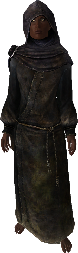 20251118163926!EN-NPC-The Veiled Woman 2.png