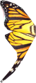 EN-Ingredient-Yellow Butterfly Wing.png