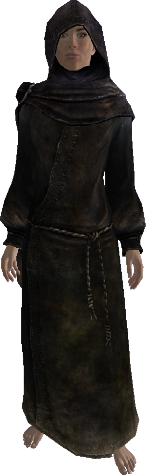 20251118162742!EN-NPC-The Veiled Woman.png