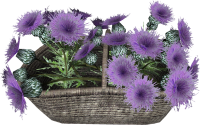 EN-Placeable-Flower Basket.png