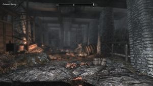 20251118162746!Western Cannon-Wall1.jpg