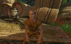 1200px-EN-NPCs-Old Blind Man.jpg