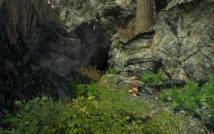 20251118162732!EN-Places-Bear Cave4.jpg