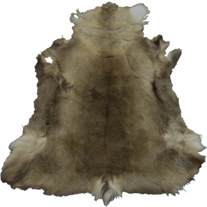 20251118162845!EN-Placeable-Pelt 2.png