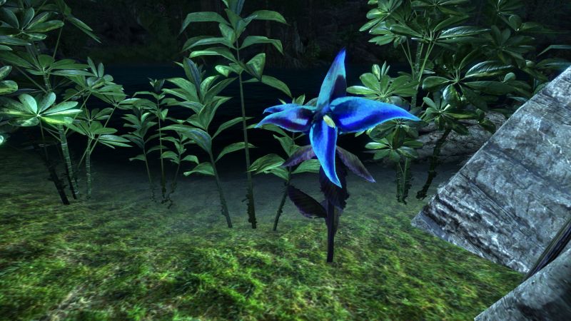 File:20190215023137!EN-Quest-A Drop in the Ocean 4.jpg