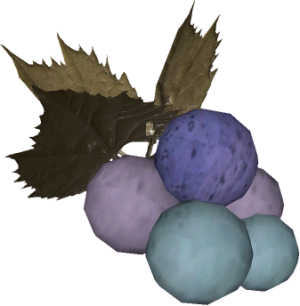 20251118162735!EN-Ingredient-Wild Berry.png