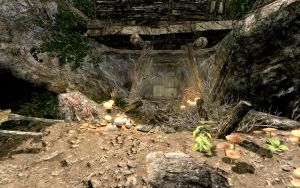 20251118162738!EN-places-A Shimmering Grove2.jpg