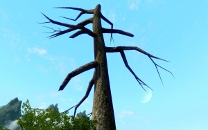 The Bleak Tree
