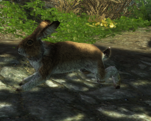 EN-Creature-Rabbit.png
