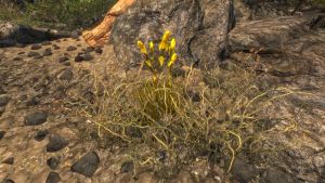 1200px-EN-Quest-Trails in the Sand 4.jpg