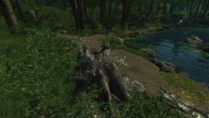 20251118162743!EN Hammerbird Nest Stump.jpg