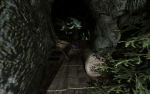 1200px-EN-Places-Brownrock Cave1.jpg