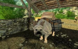 20251118163933!EN-places-Marek's Farm2.jpg