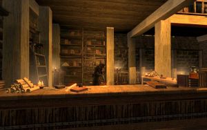 1200px-EN-places-Ark Library1.jpg