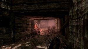 20251118163932!EN-Places-Throatstone Arid Well Shaft1.jpg